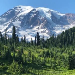 Meet your Posher, Christy